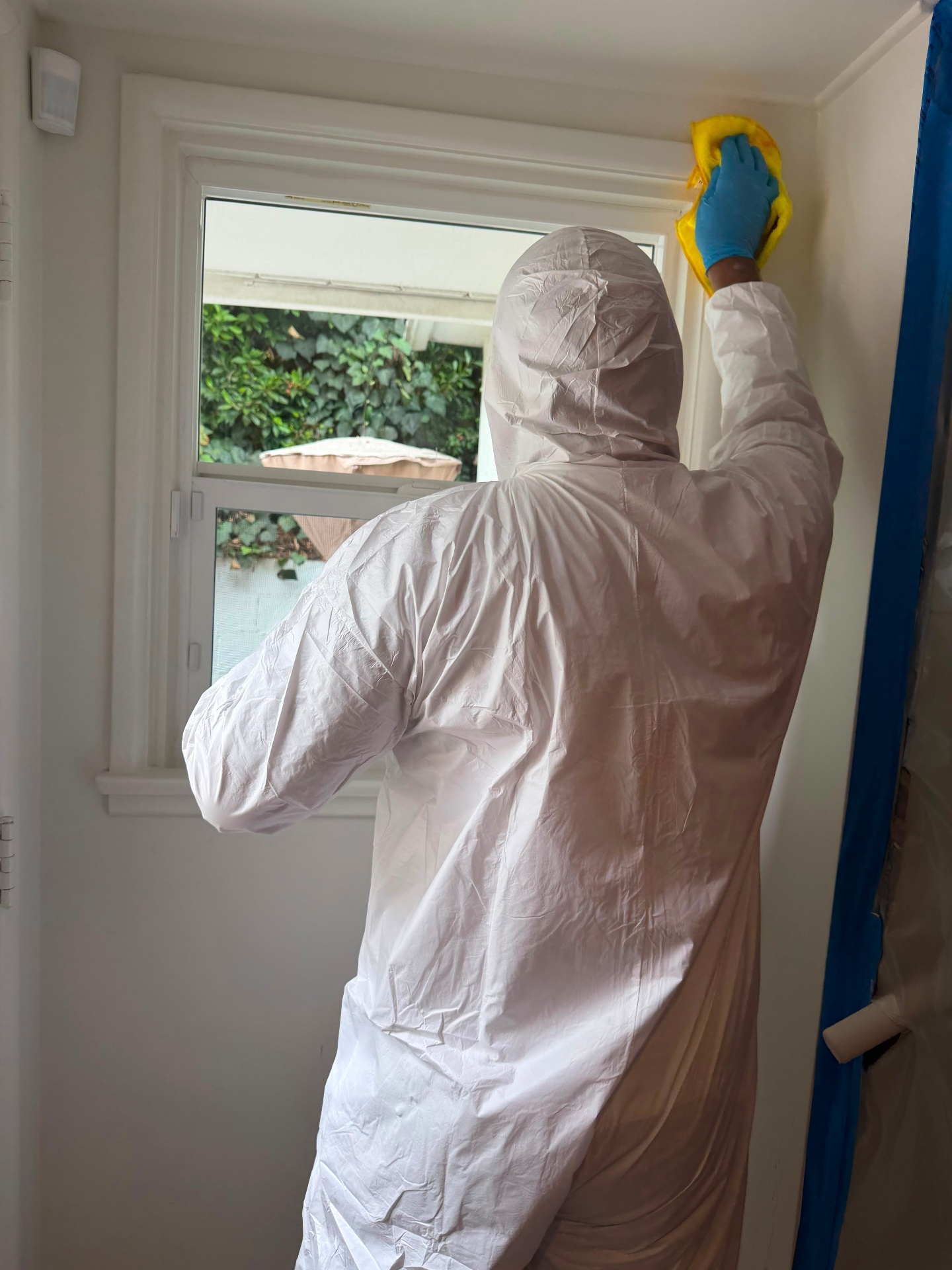 Window & Trim Cleaning